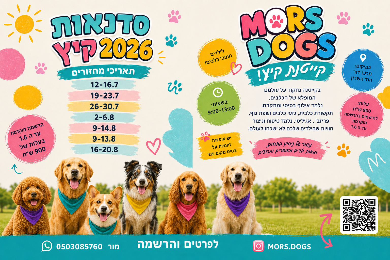 פלייר אילוף כלבים